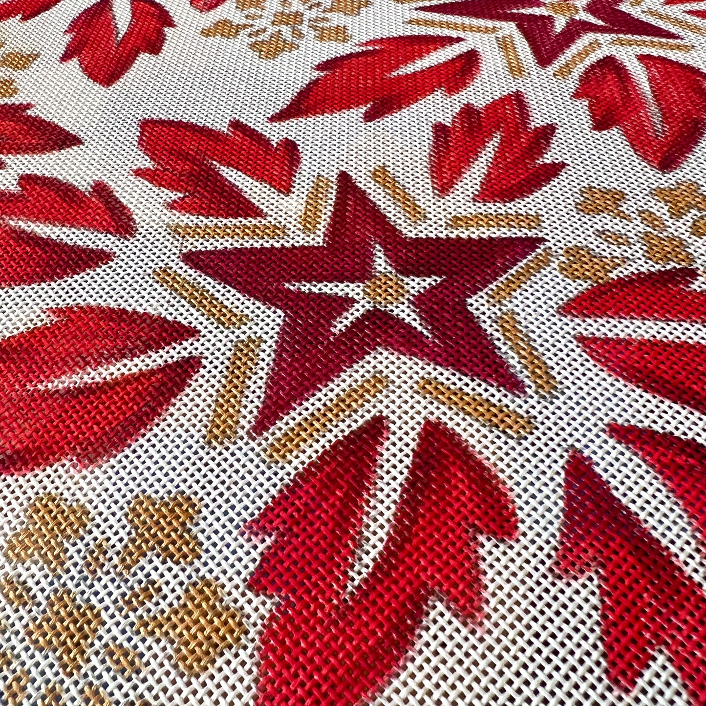 ÉTOILES D’HIVER