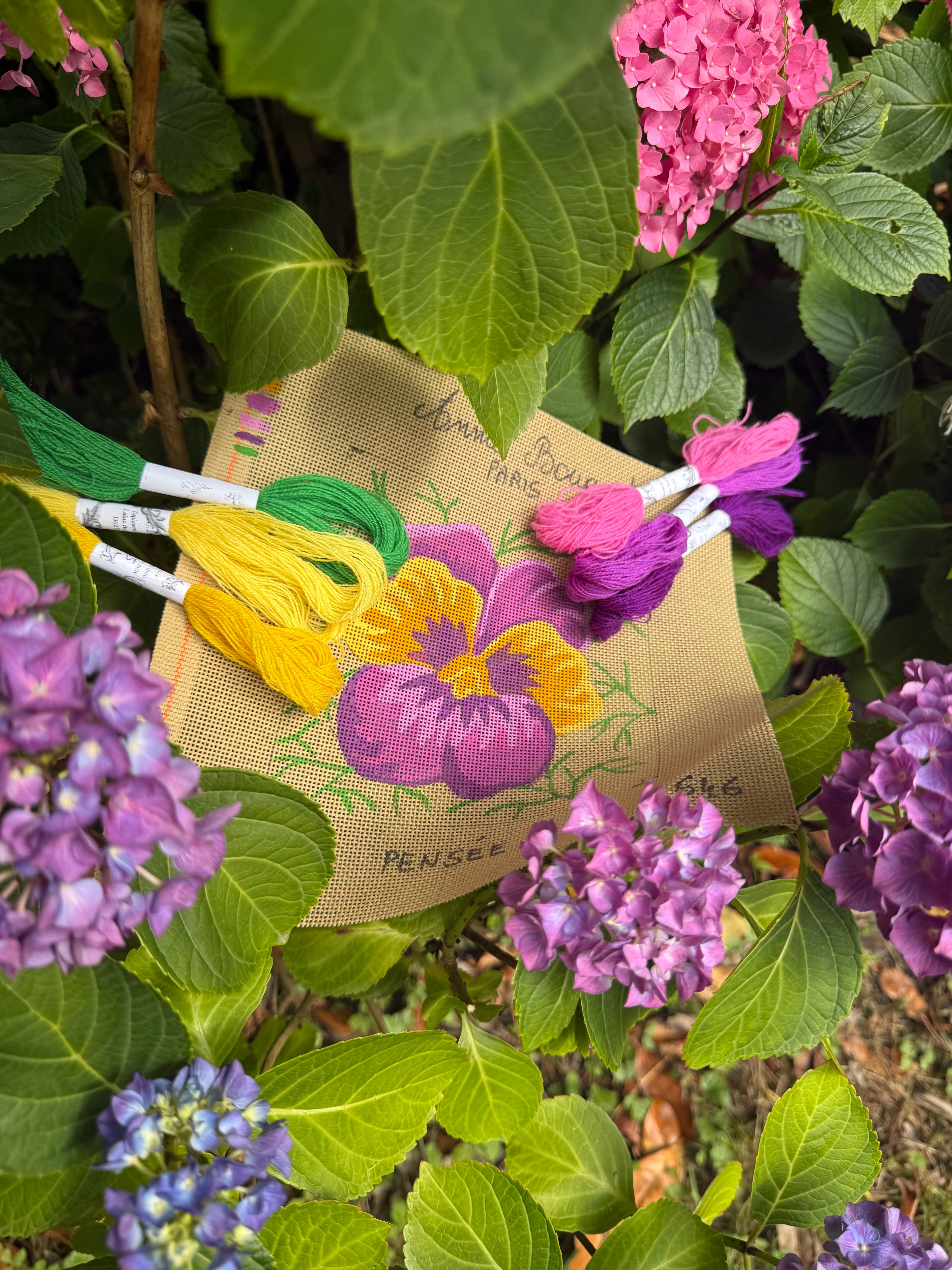 LA PENSÉE DU JARDIN