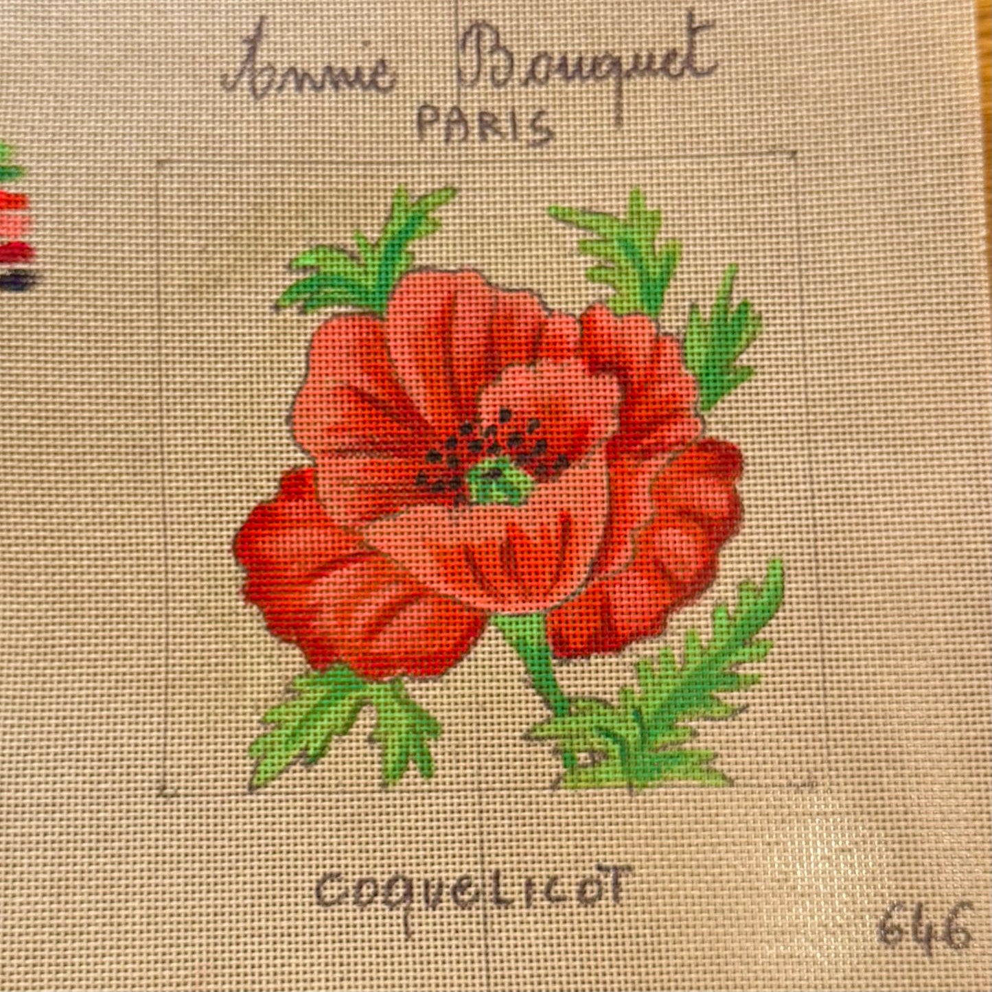 COQUELICOTS SAUVAGES