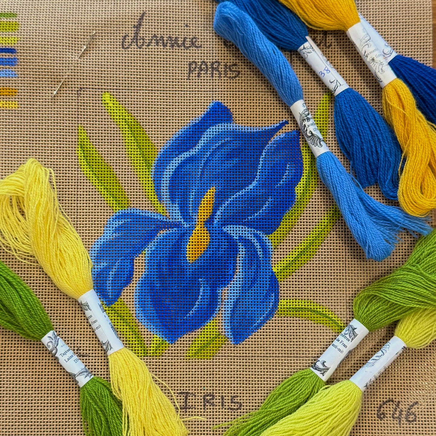 LES IRIS ENCHANTÉE