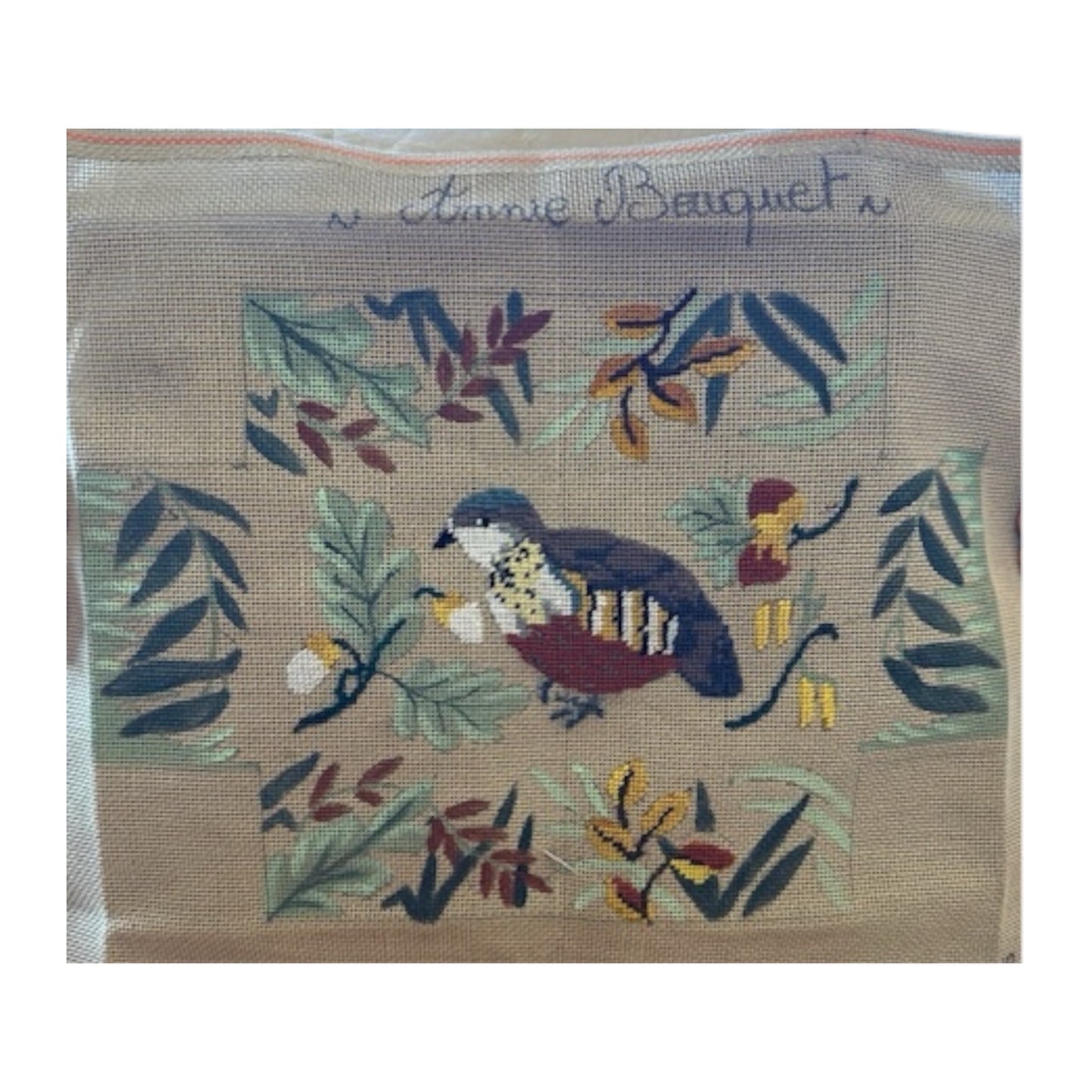 PLUME CHAMPÊTRE
