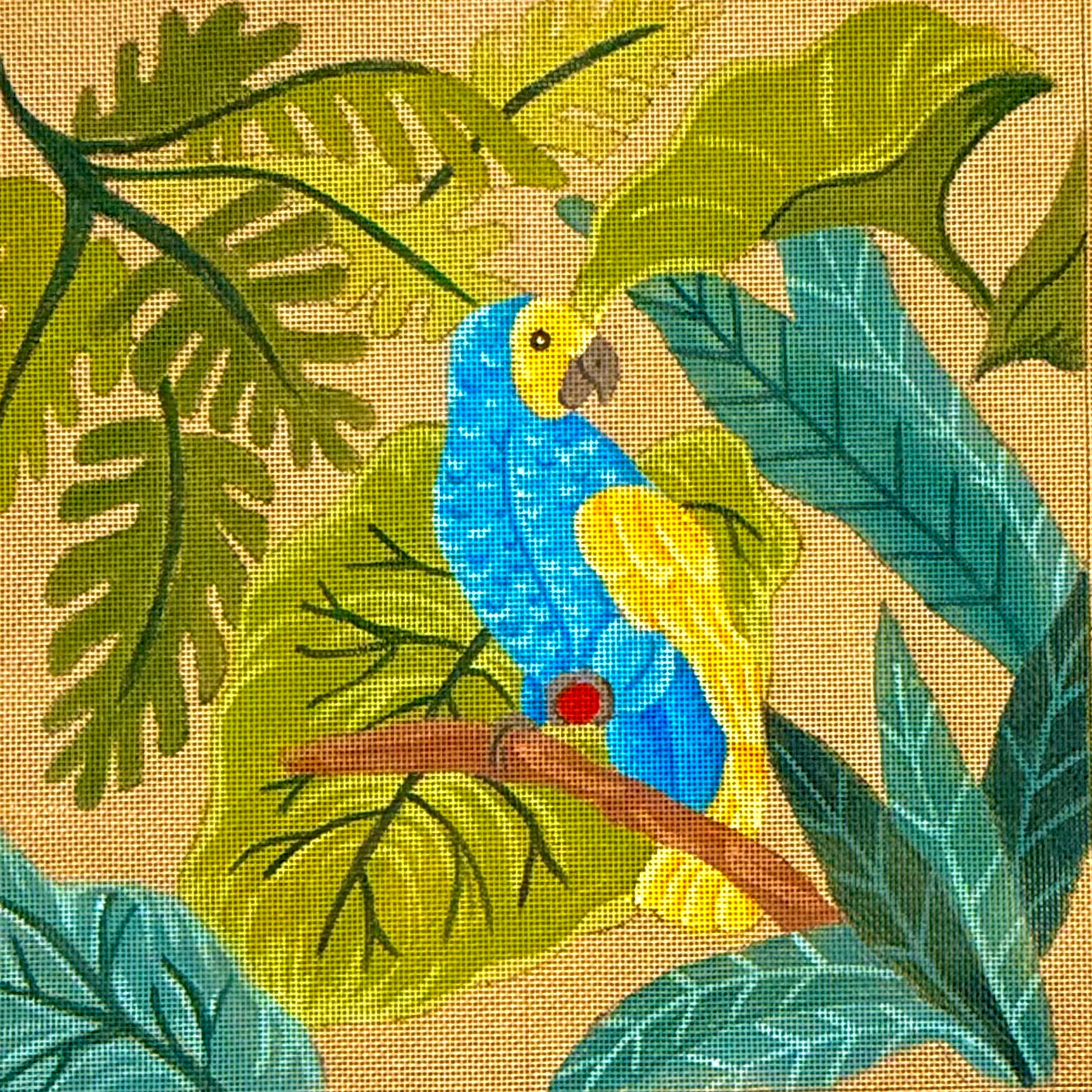 LE PERROQUET BLEU