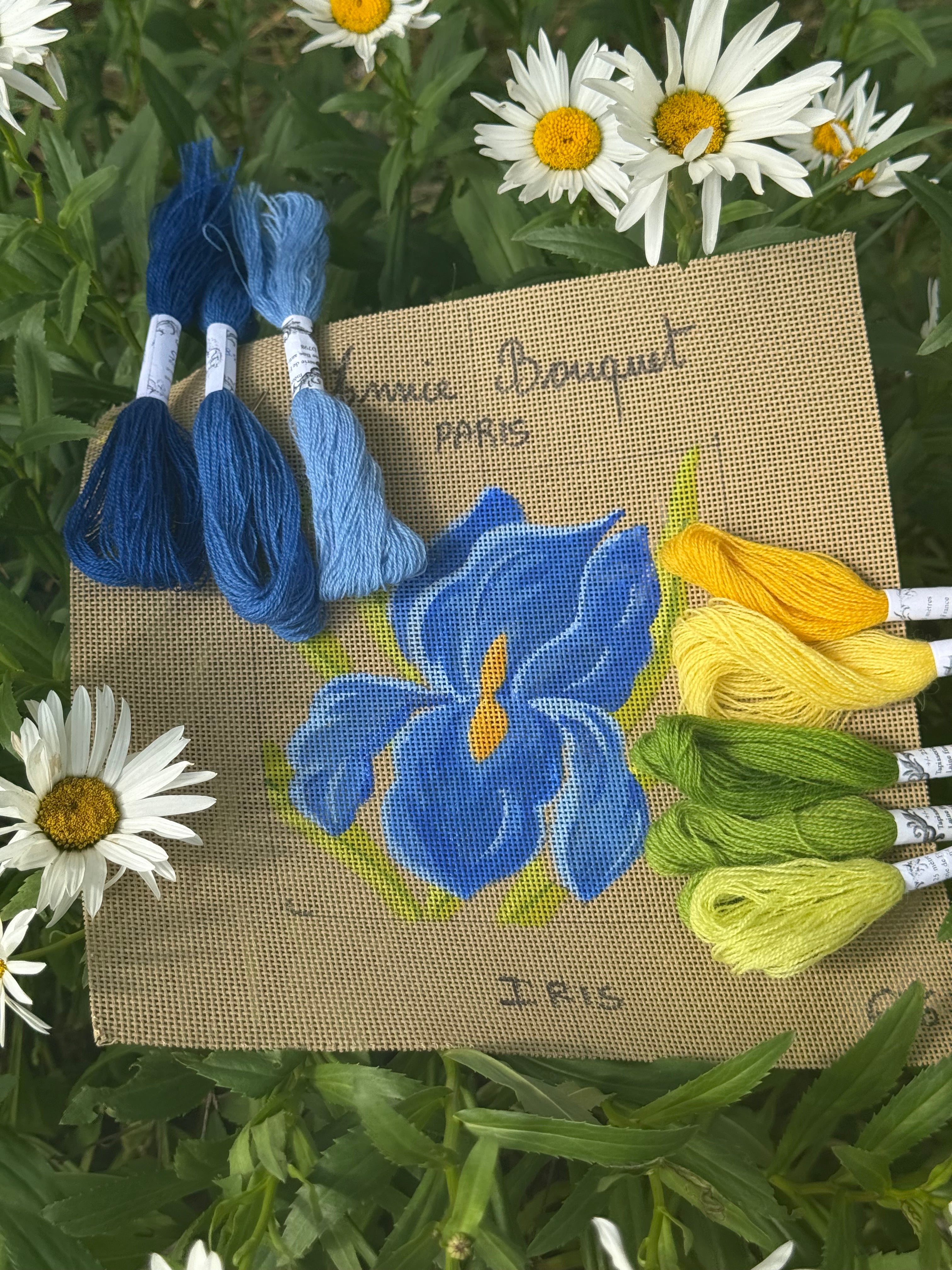 THE ENCHANTED IRISES