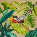 THE TOUCAN