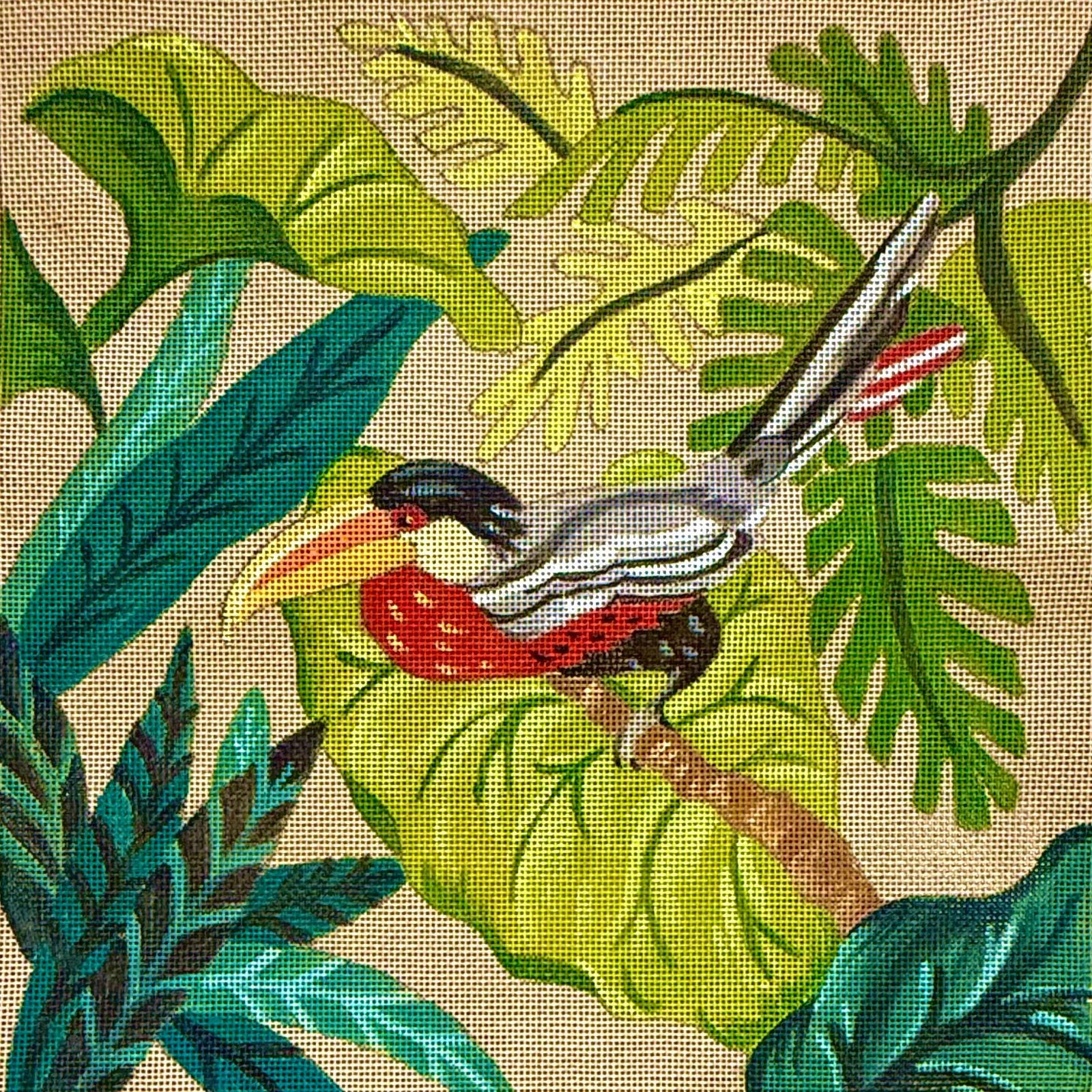 THE TOUCAN