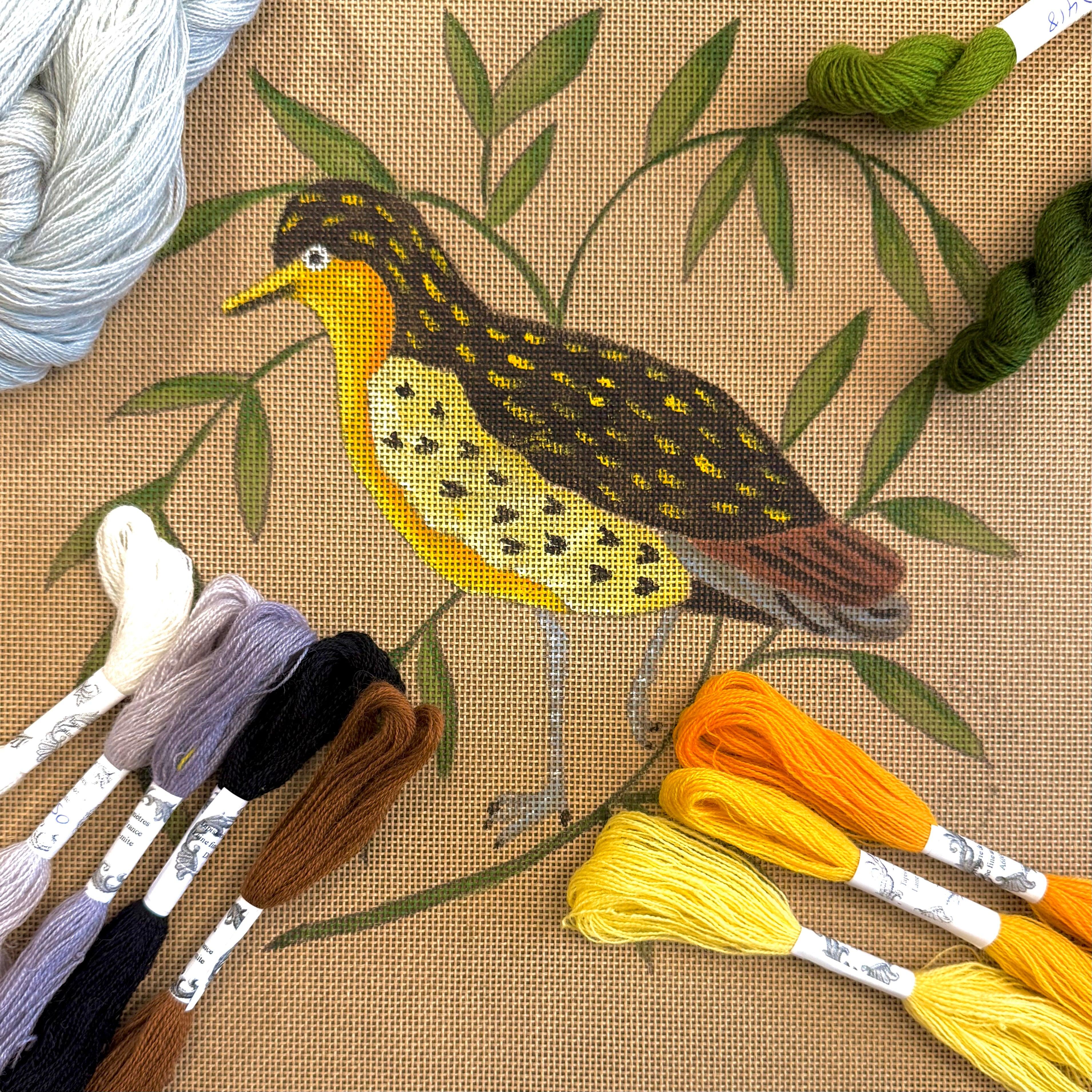 THE GOLDEN PLOVER