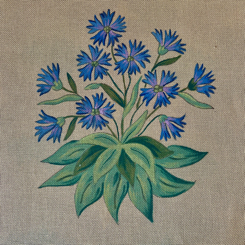 BLEUETS SAUVAGES