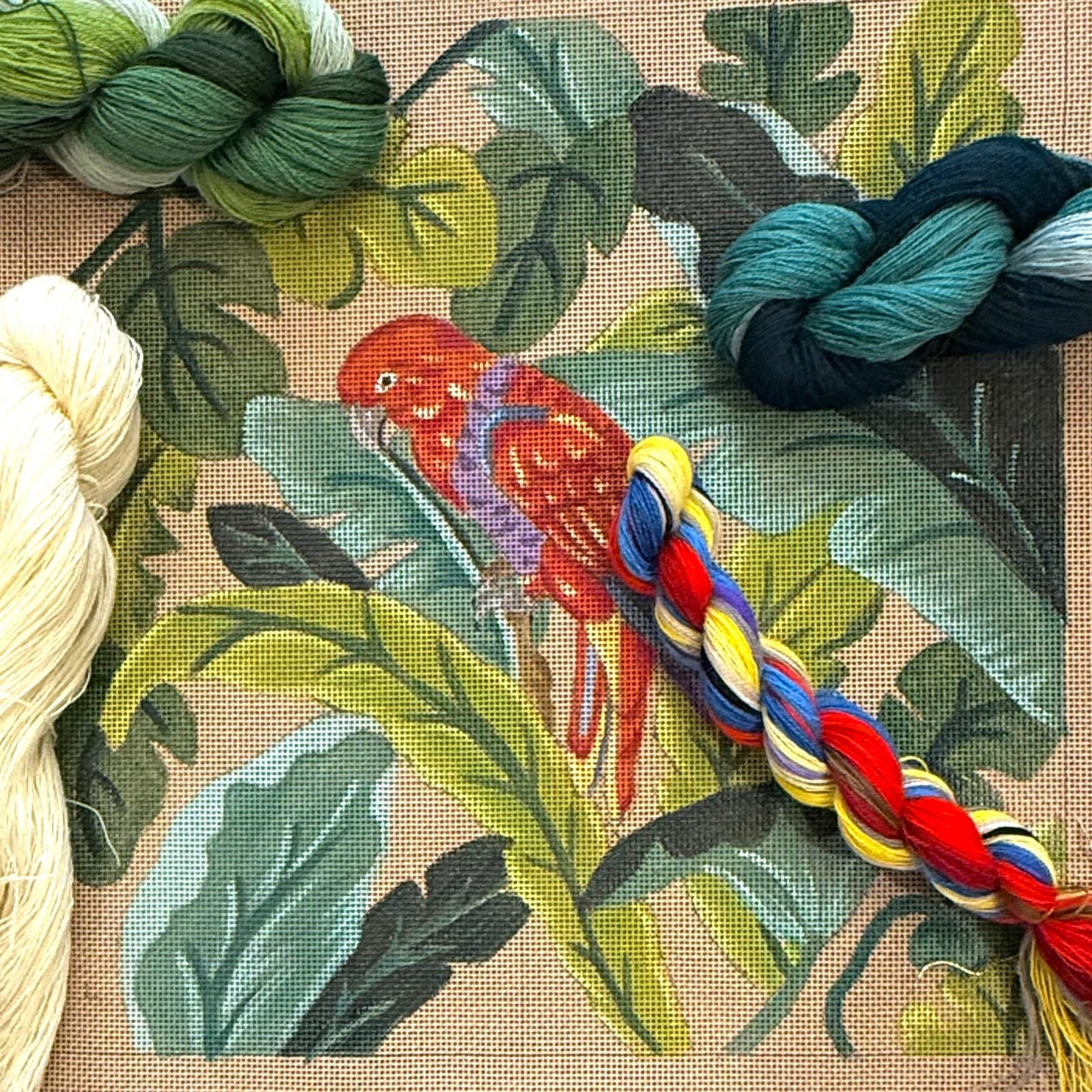 THE RED PARROT