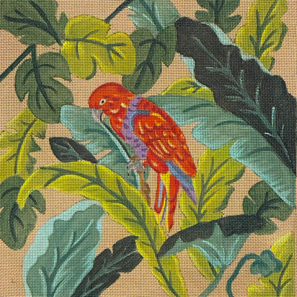 LE PERROQUET ROUGE