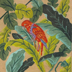 THE RED PARROT