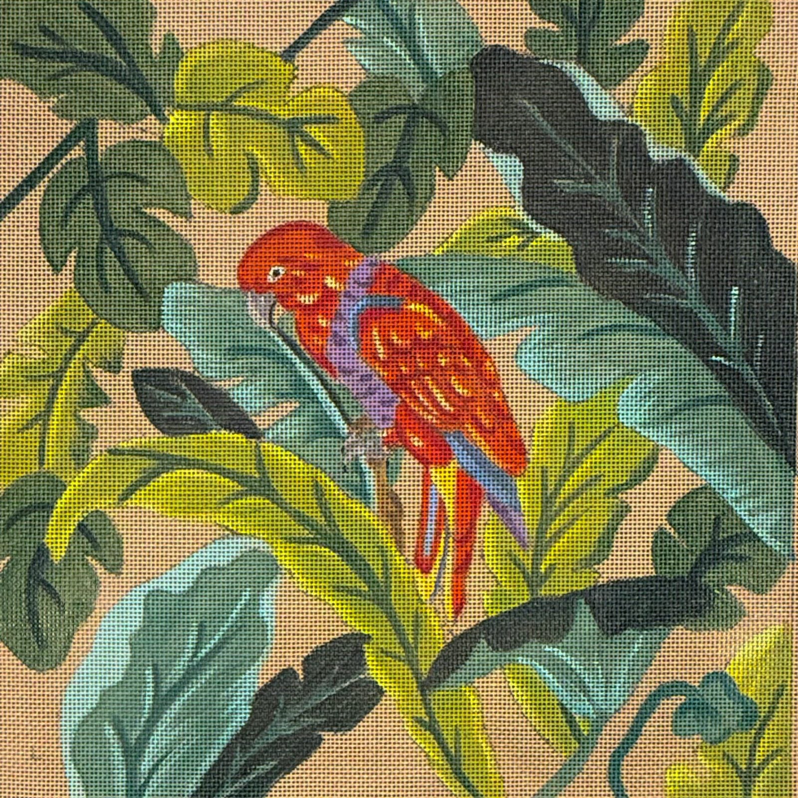 THE RED PARROT