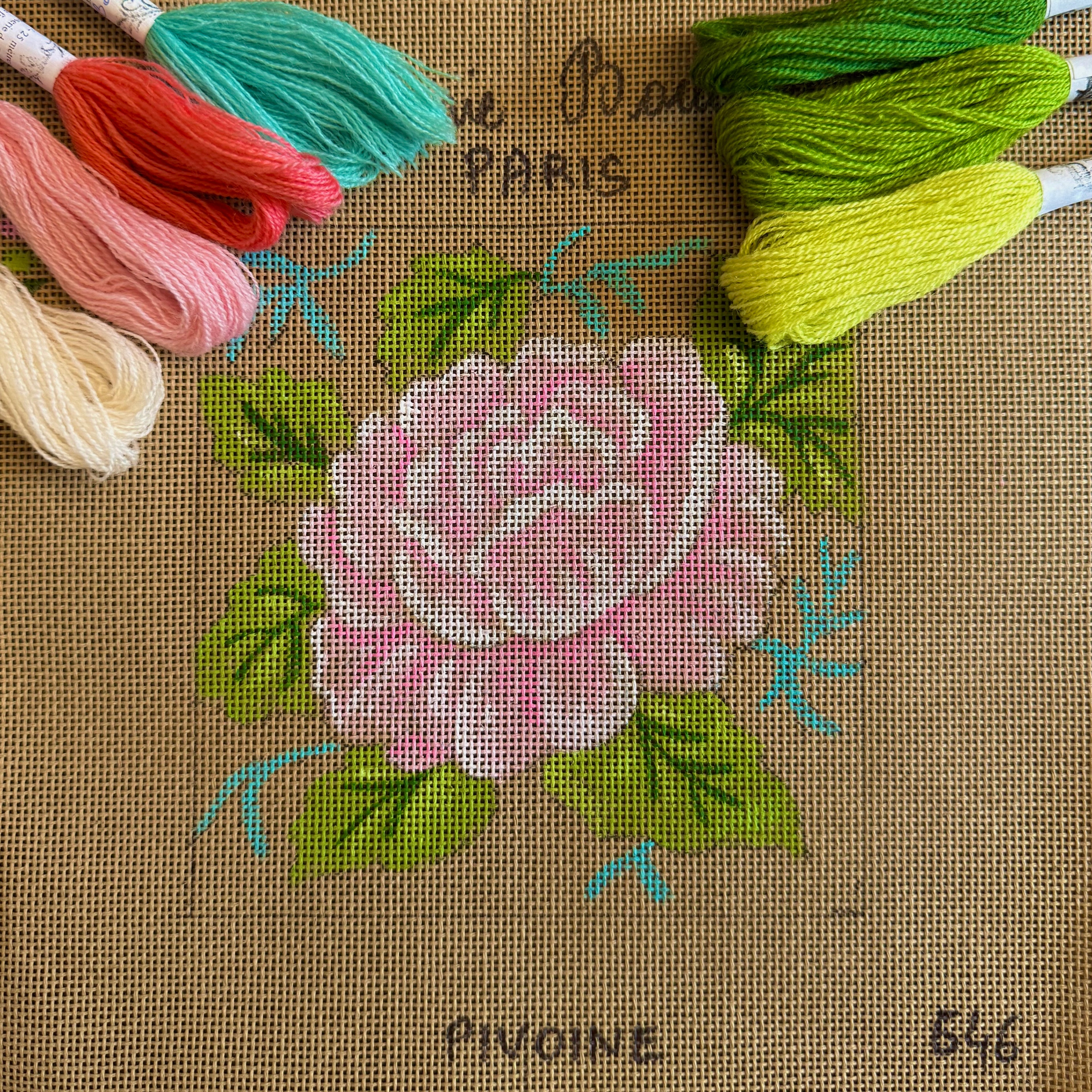 PEONY IN MAJESTY
