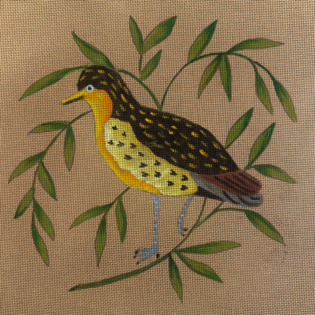 THE GOLDEN PLOVER