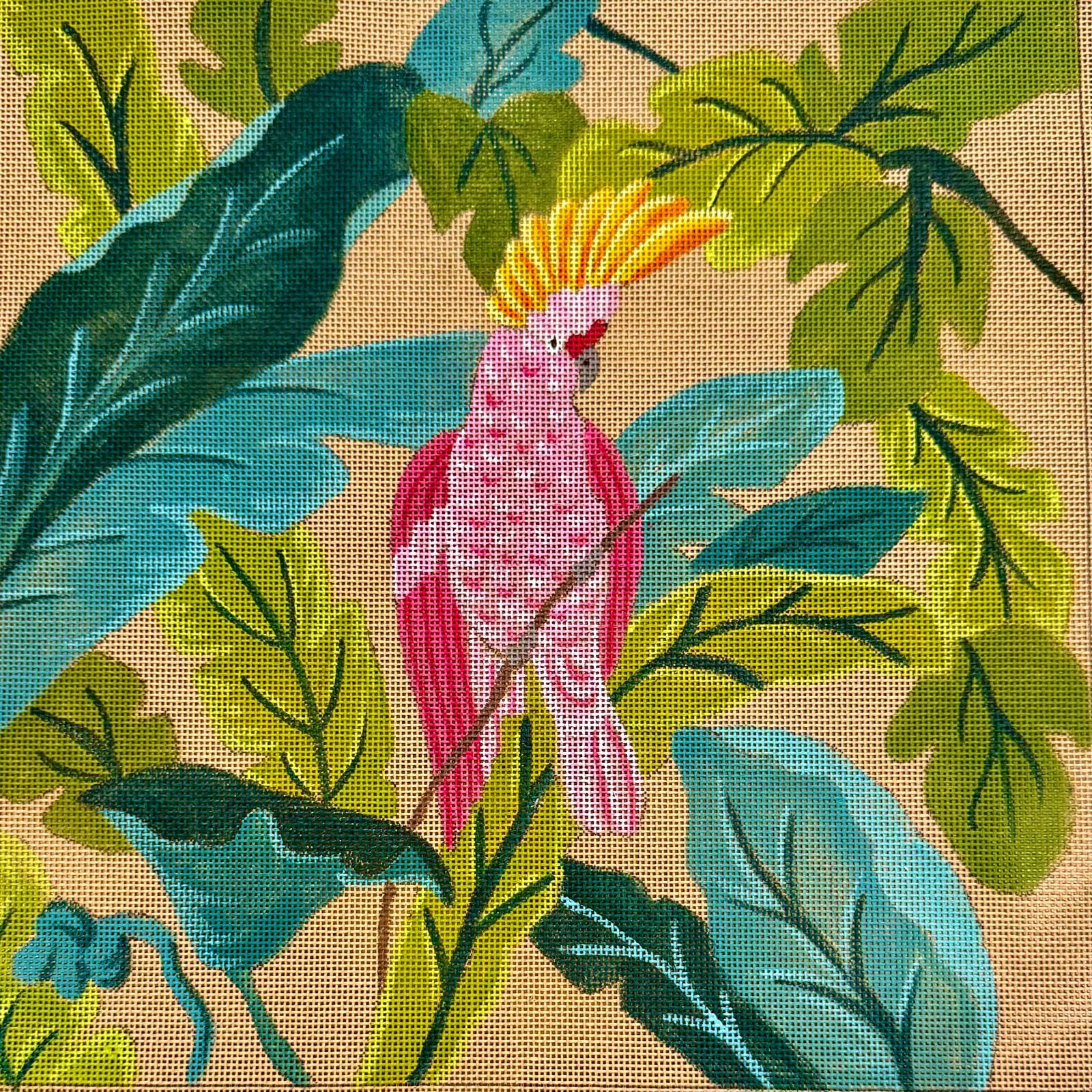 THE PINK COCKATOOO