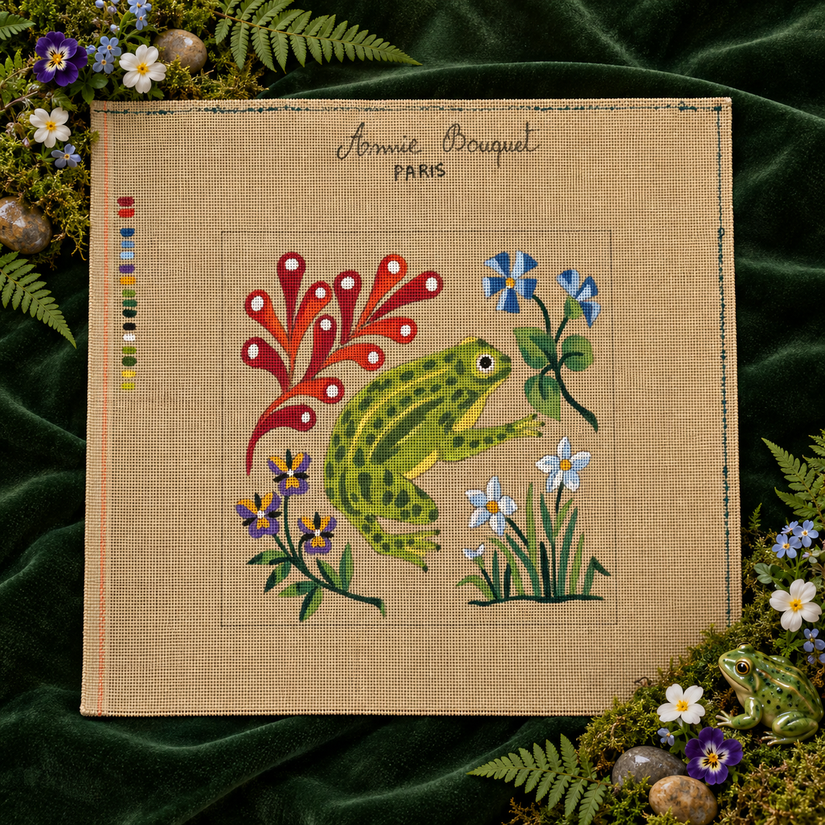 La grenouille au jardin