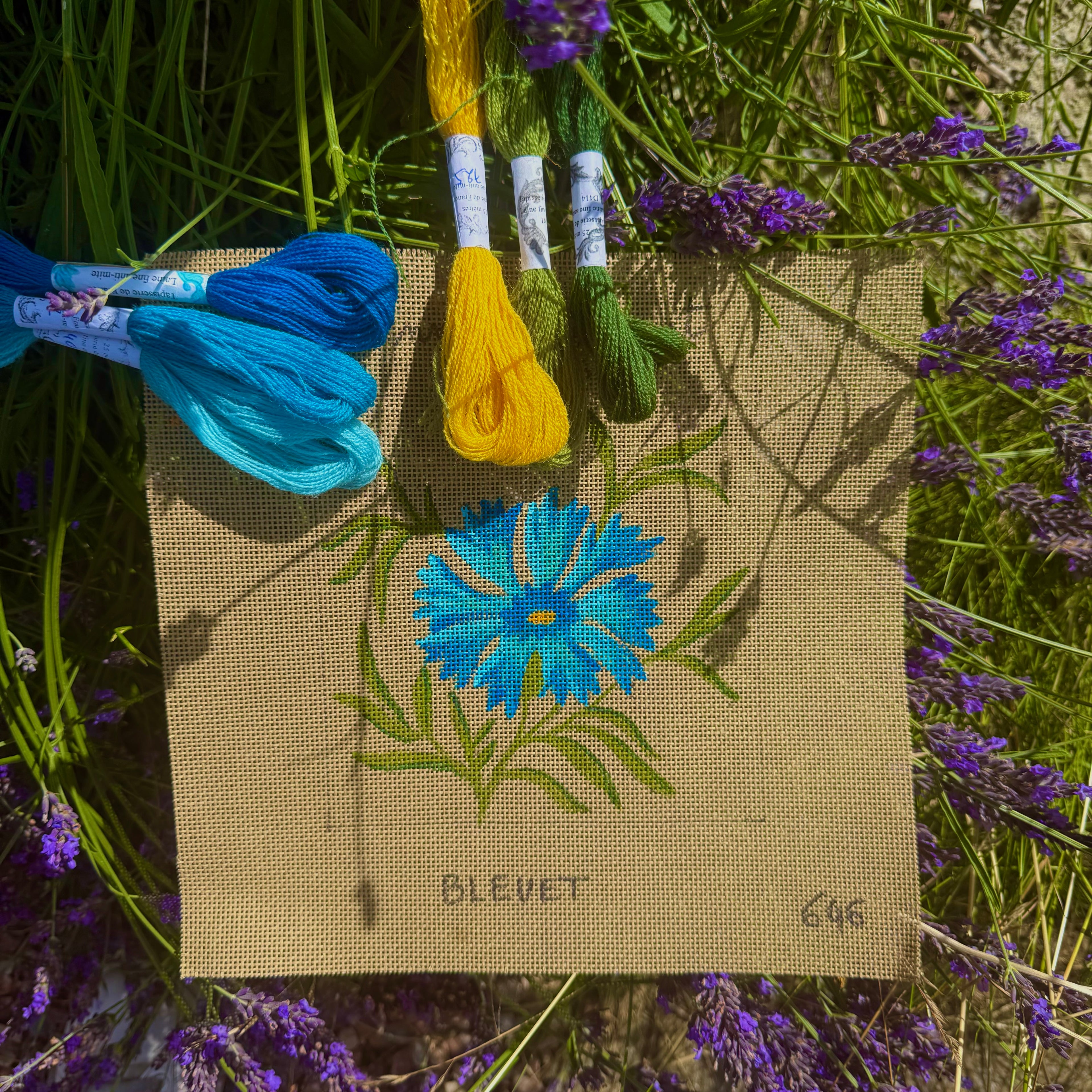 SONG OF CORNFLOWER