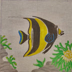 LE POISSON IMPÉRIAL