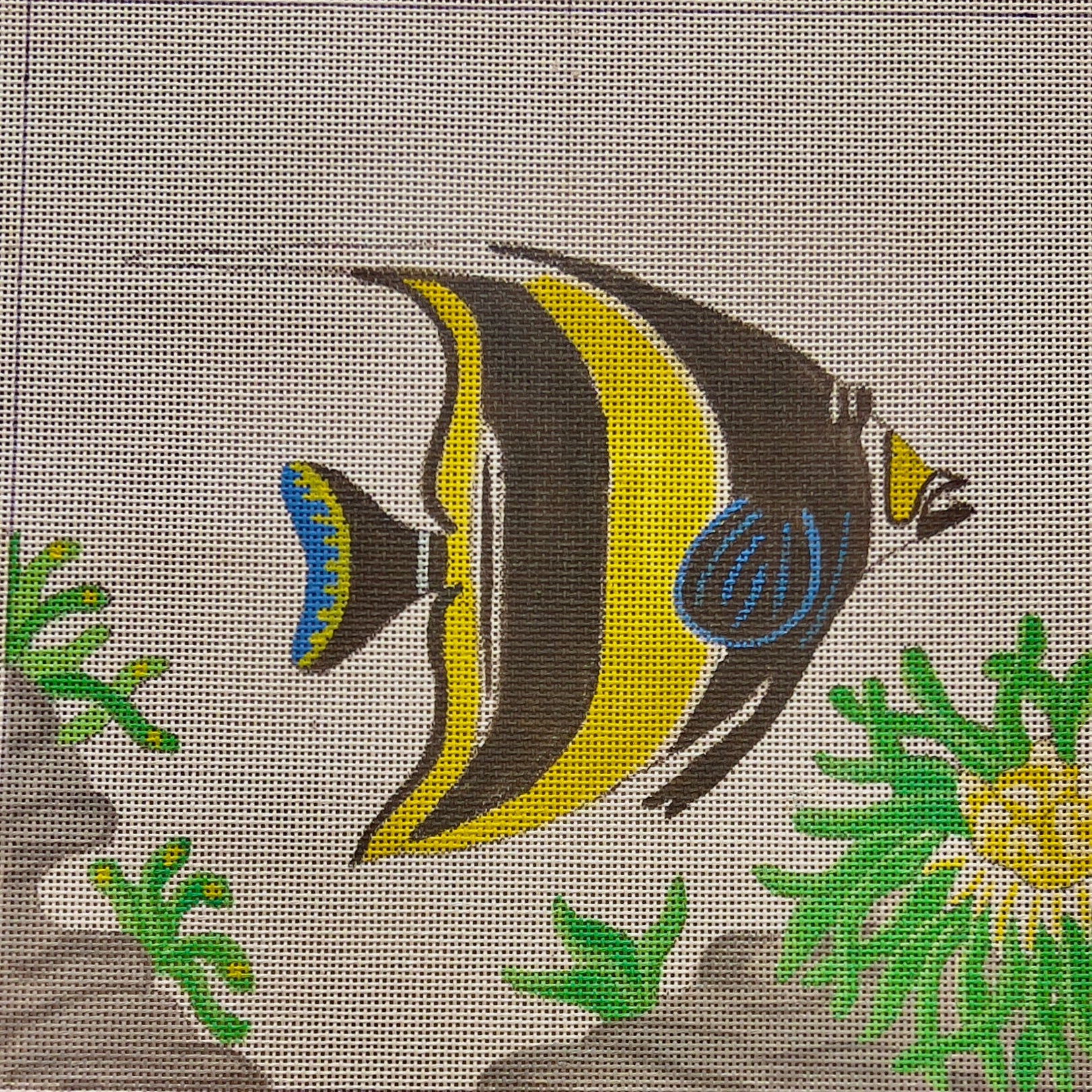 LE POISSON IMPÉRIAL