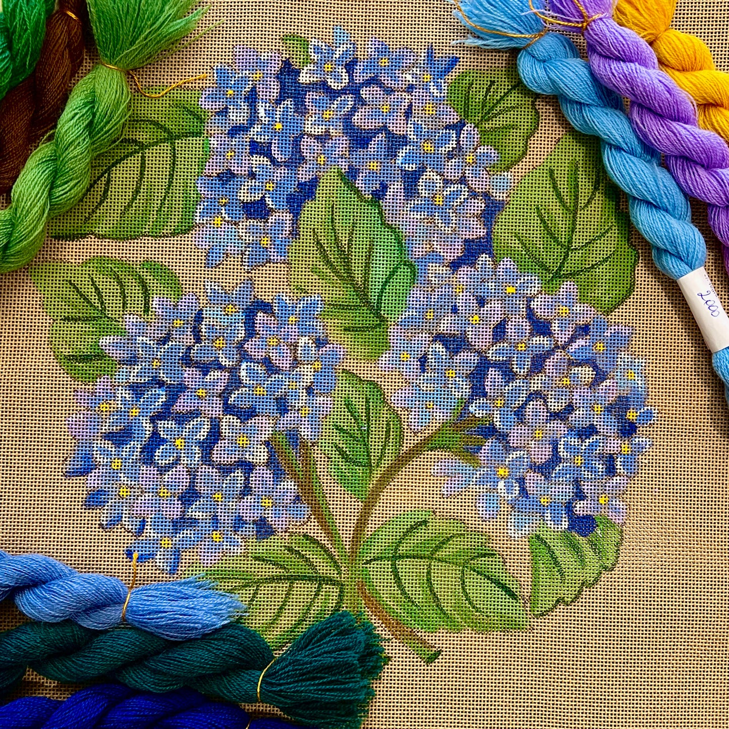 LE CHANT DES HORTENSIAS