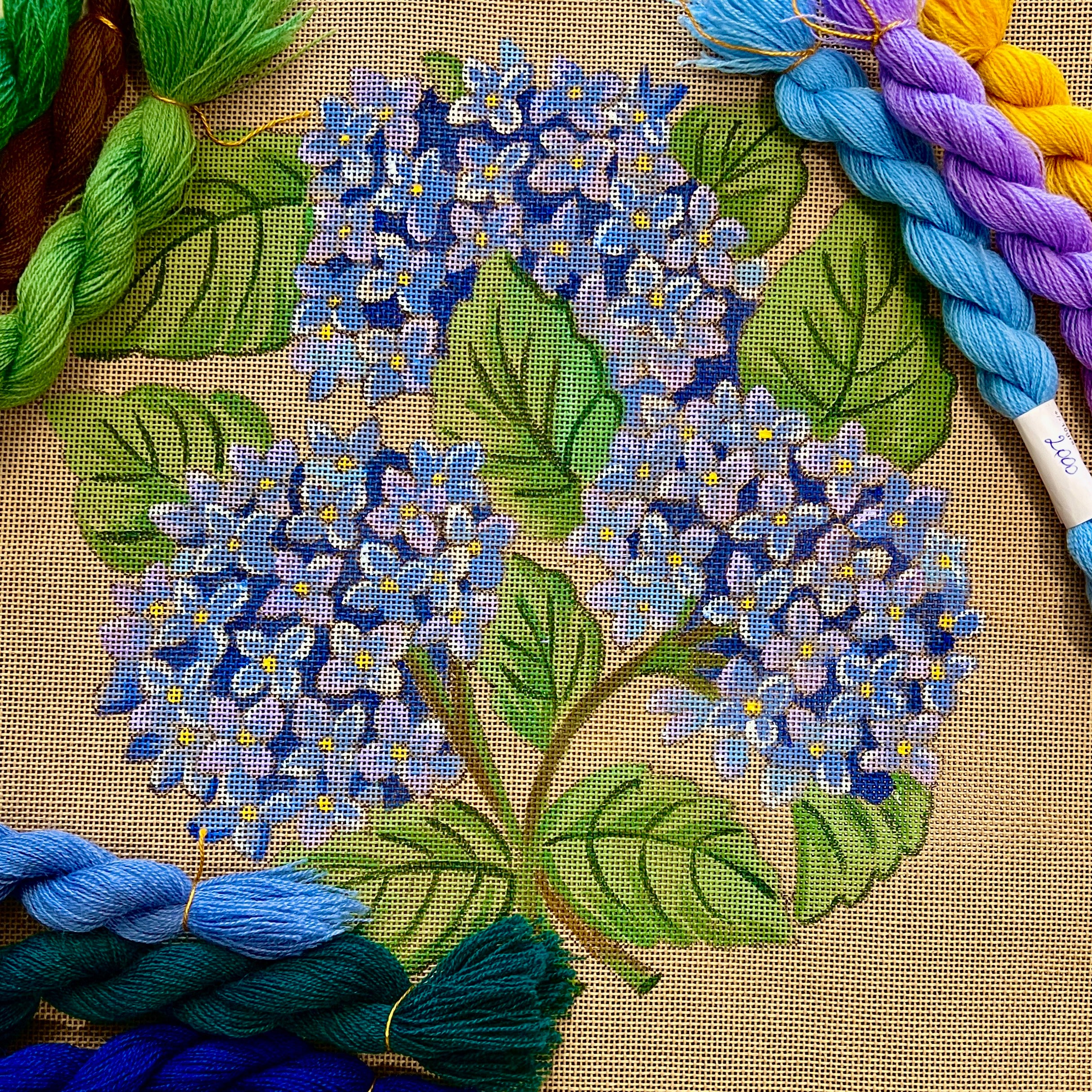 THE MELODY OF THE HYDRANGEAS