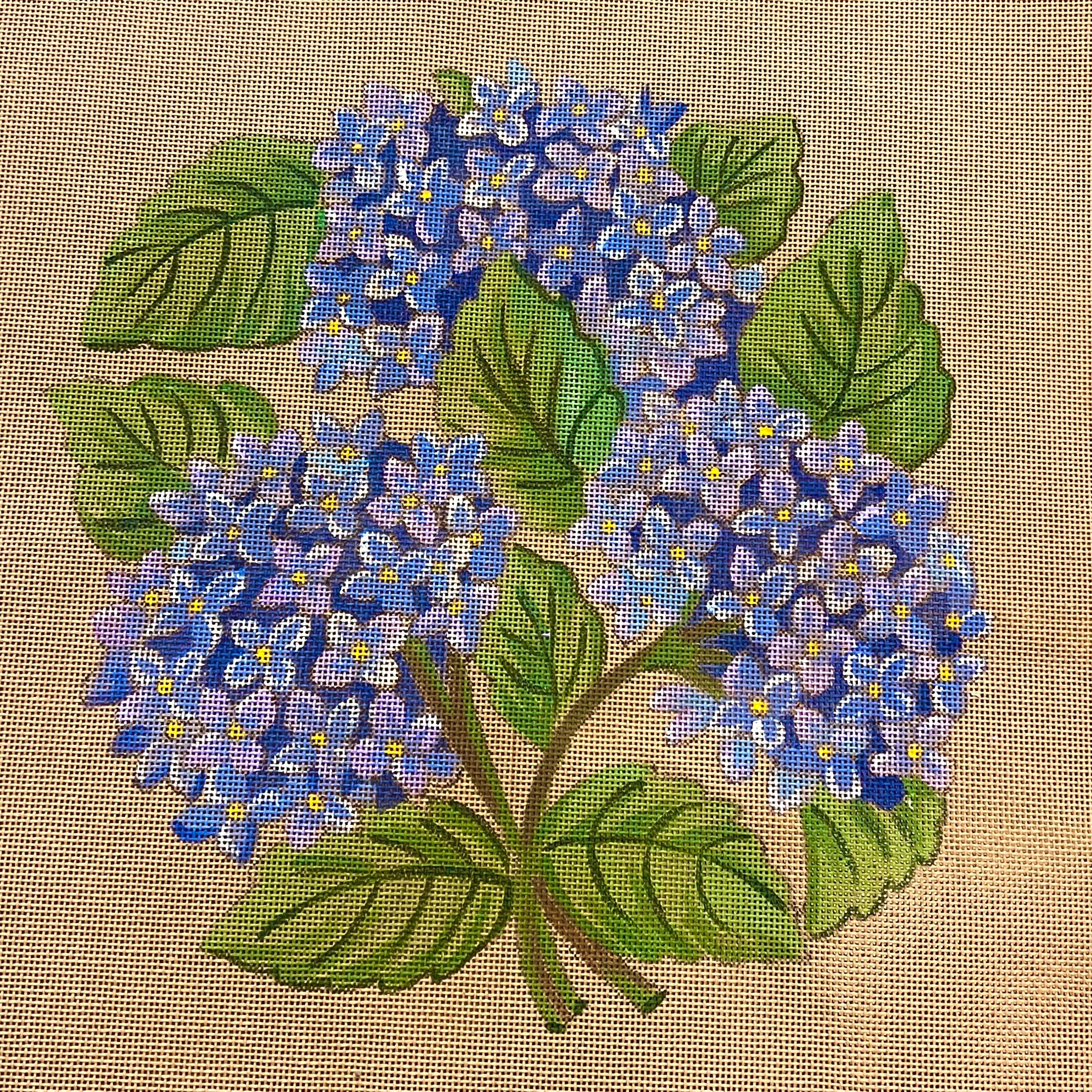 THE MELODY OF THE HYDRANGEAS