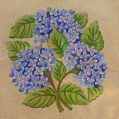 LE CHANT DES HORTENSIAS