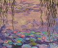 REFLECTION OF WATER LILY
