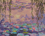 REFLECTION OF WATER LILY