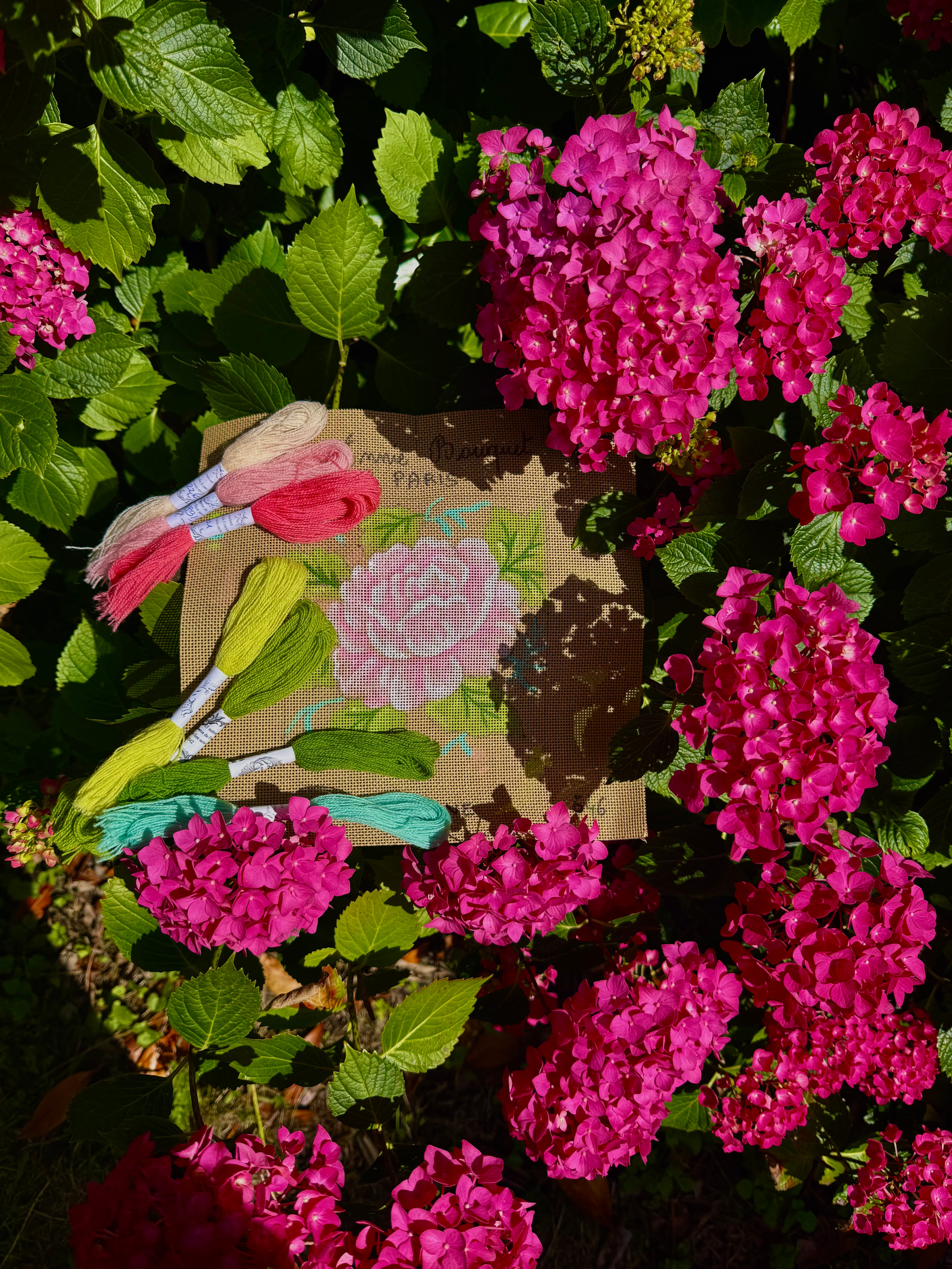 PEONY IN MAJESTY