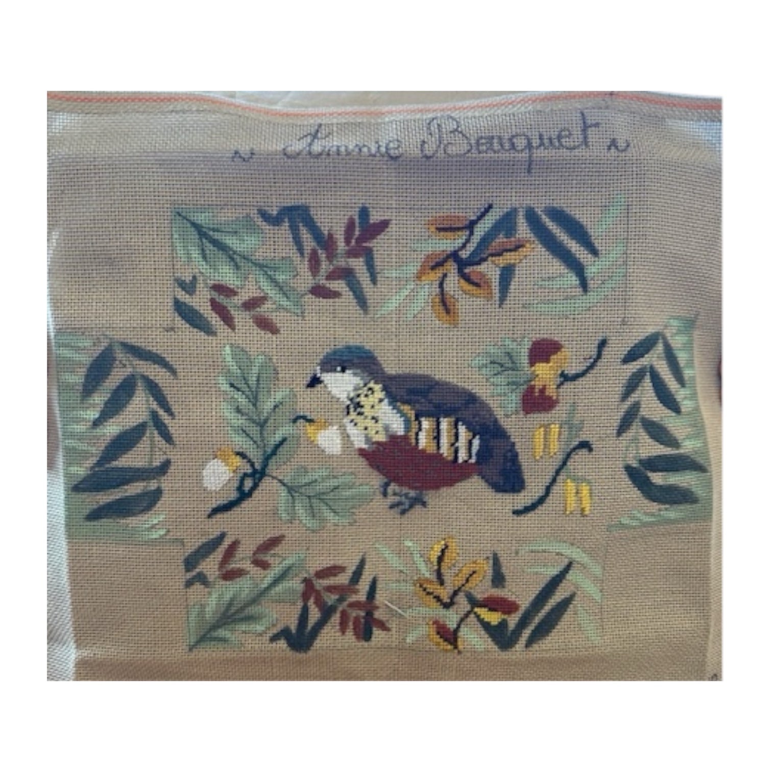 COUNTRY FEATHER