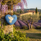 CŒUR "SOUFFLE PACIFIQUE"