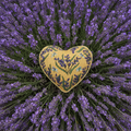 "LAVENDER" HEART