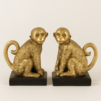 SERRE-LIVRES - TRÉSOR TROPICAL