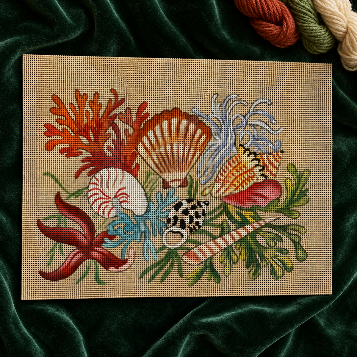 Treasures of the Sea