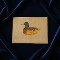 LE COLVERT DE PROFIL - miniature n°493