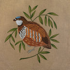 THE QUAIL