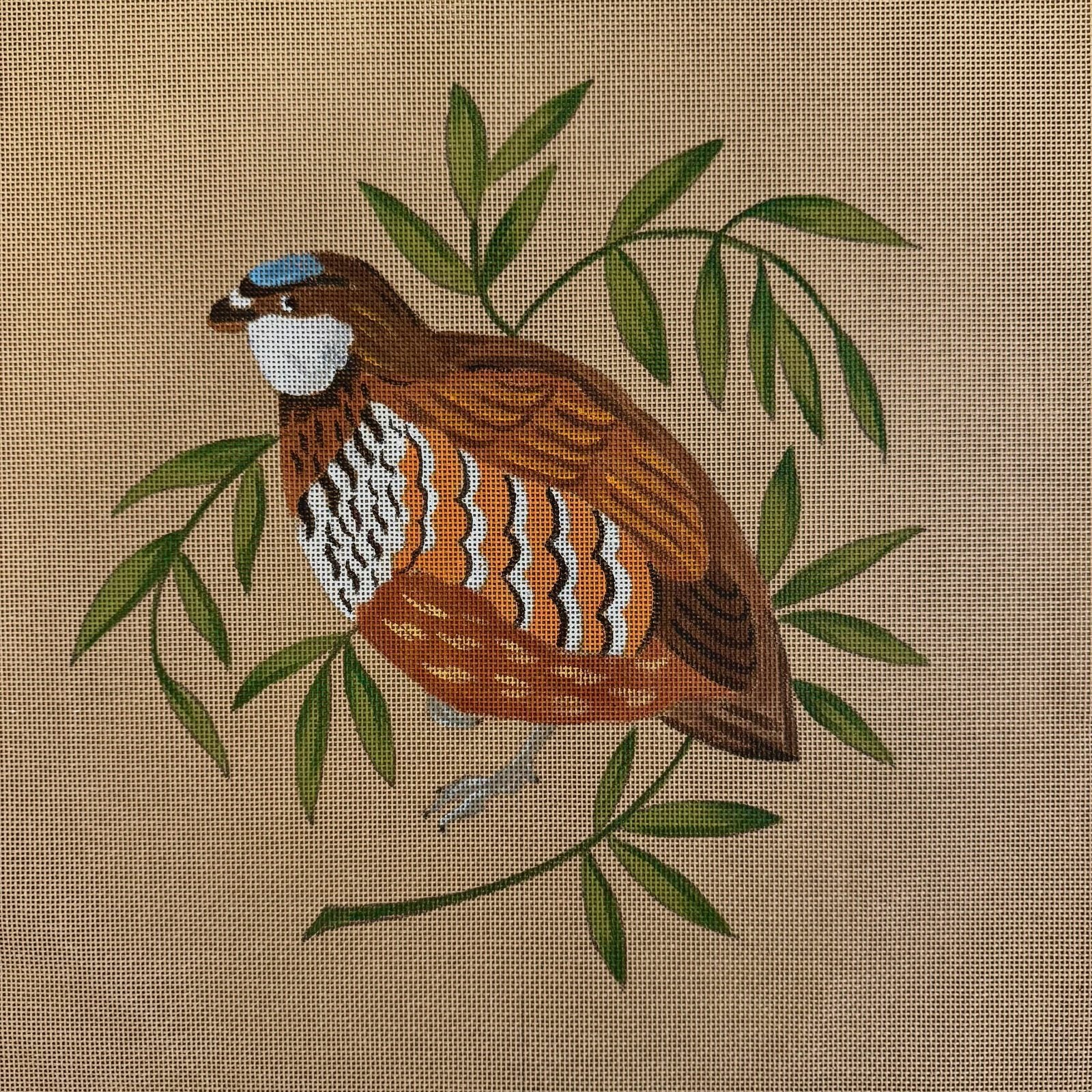 THE QUAIL