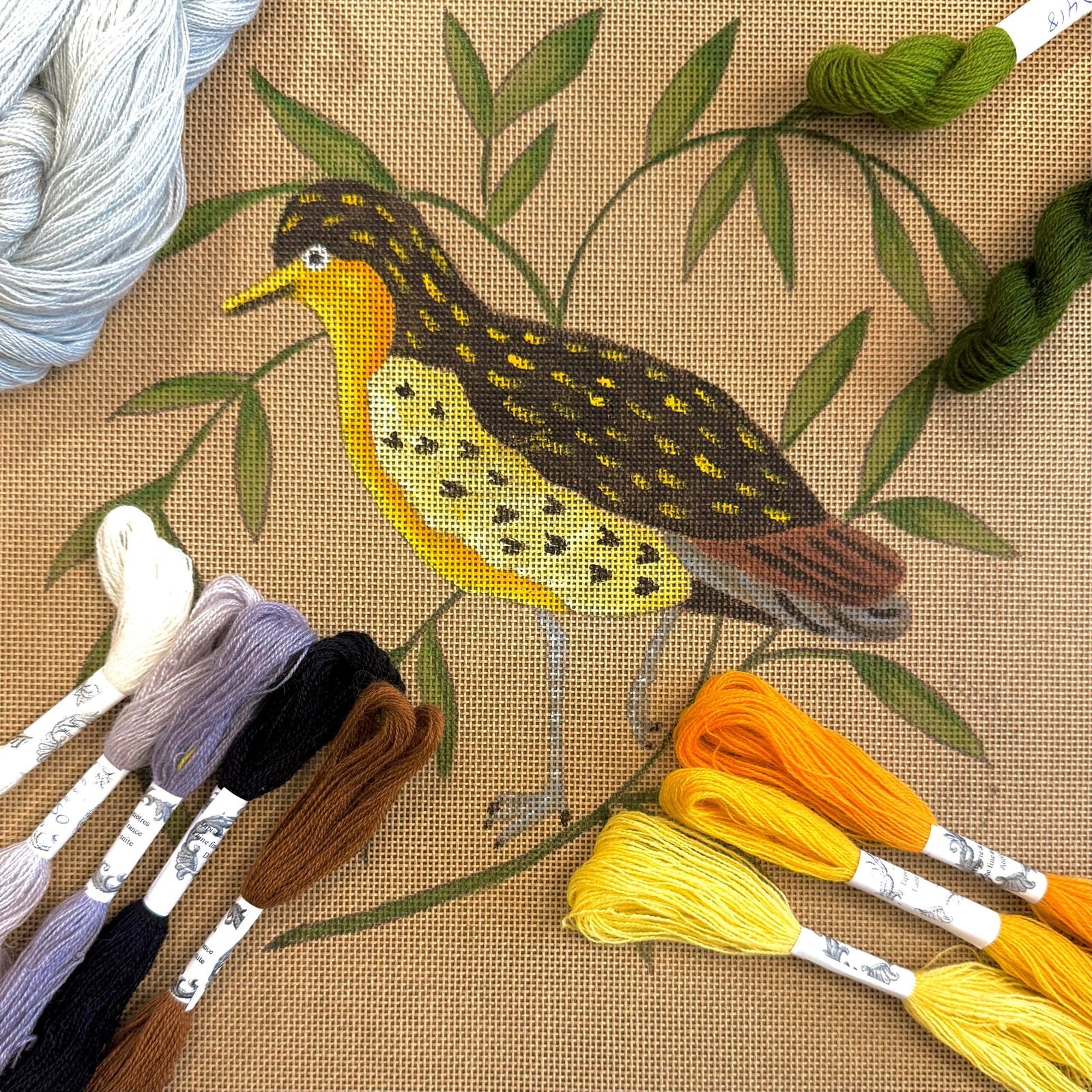 THE GOLDEN PLOVER
